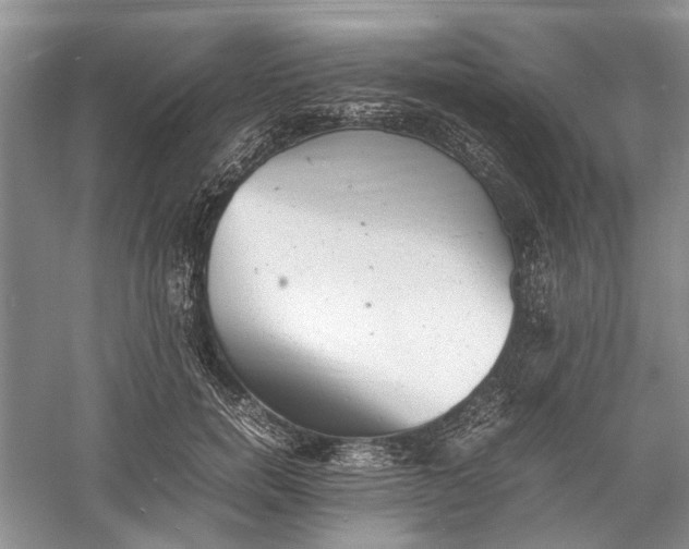 X0000060550750200511171538