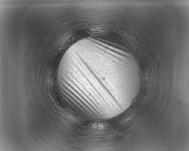 X0000060550751200511171538