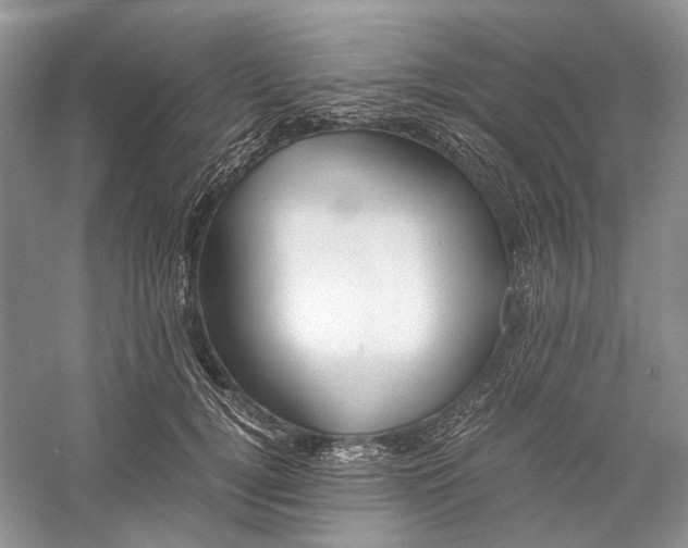 X0000060550752200511171538