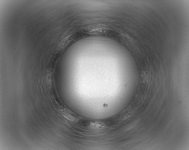 X0000060550753200511171538