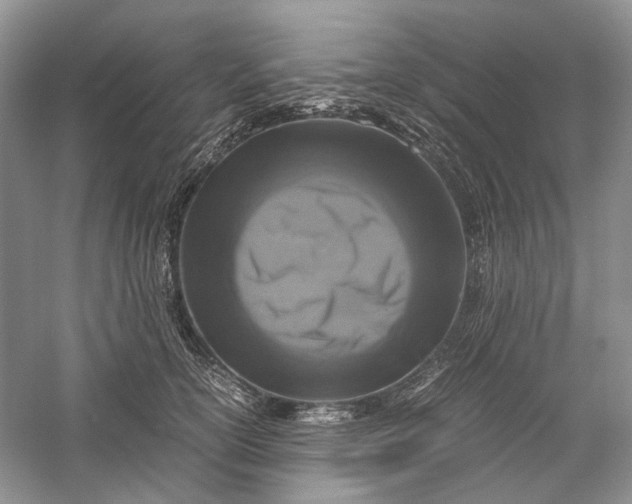 X0000060550754200511171538