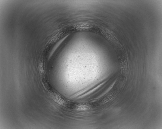 X0000060550755200511171538