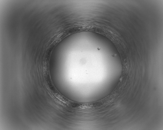 X0000060550756200511171538