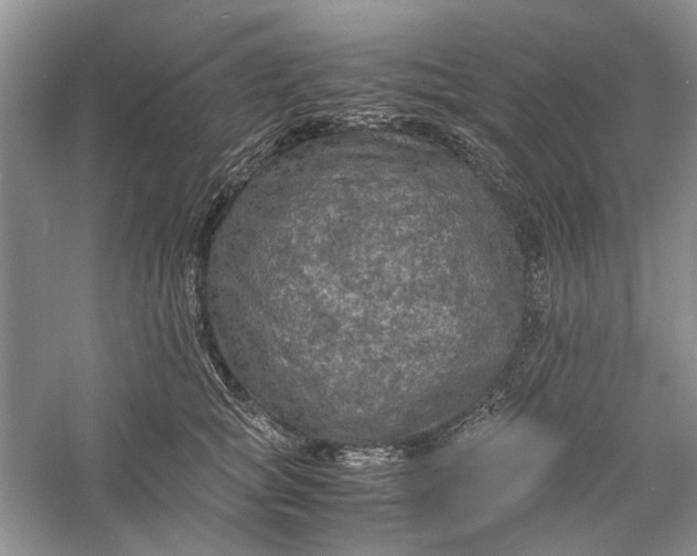 X0000060550757200511171538