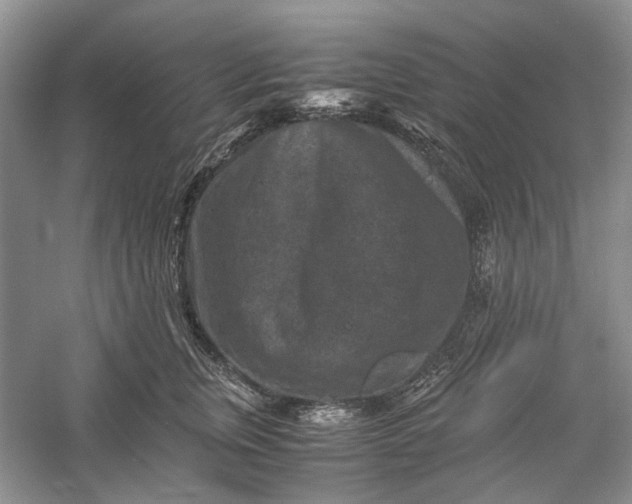 X0000060550759200511171538