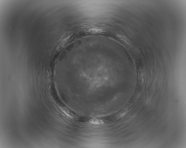 X0000060550760200511171538