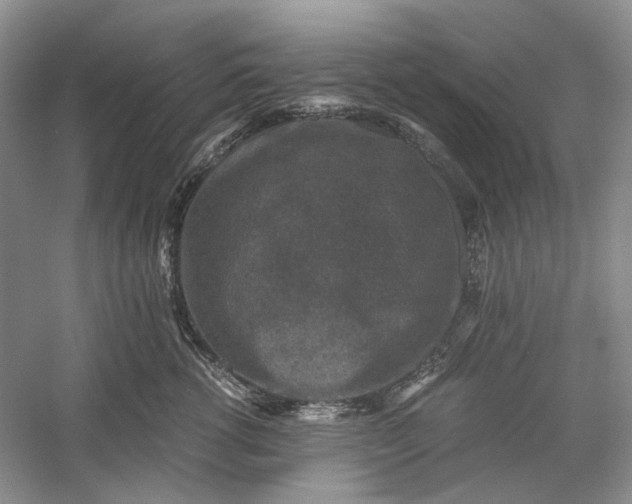 X0000060550762200511171538