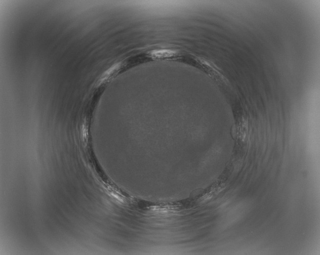 X0000060550763200511171538