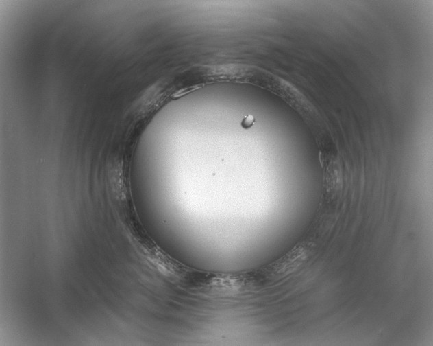 X0000060550764200511171538