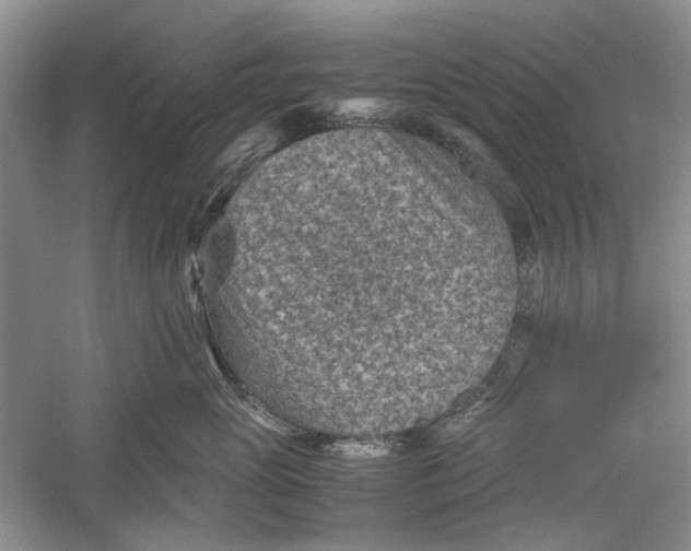 X0000060550765200511171538