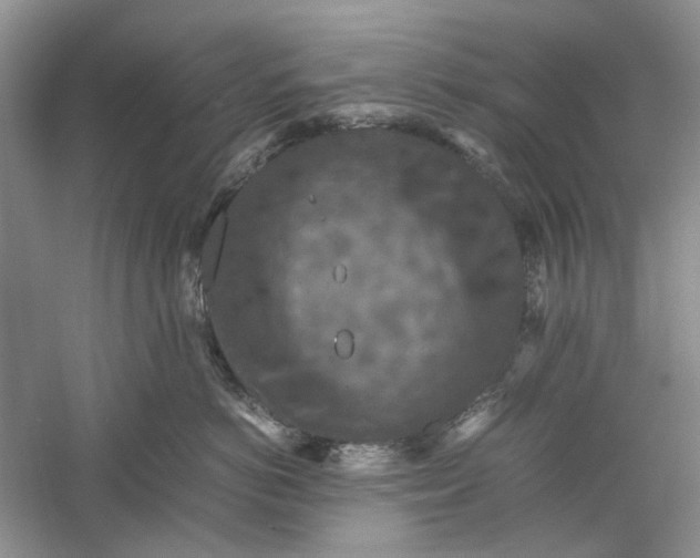 X0000060550766200511171538