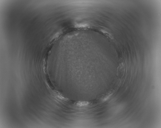 X0000060550767200511171539