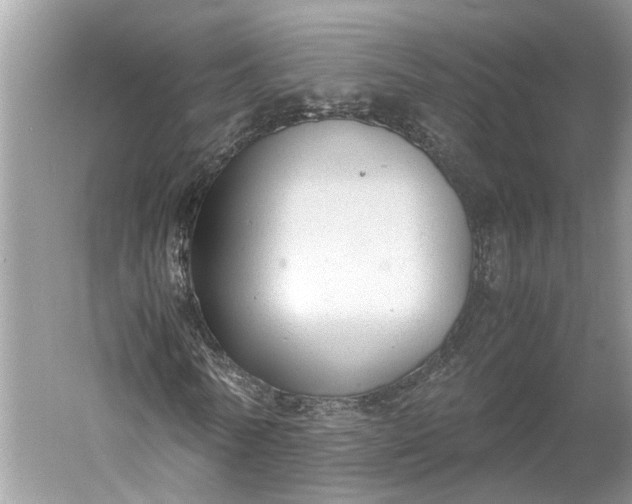 X0000060550770200511171538