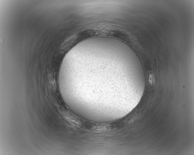 X0000060550771200511171538