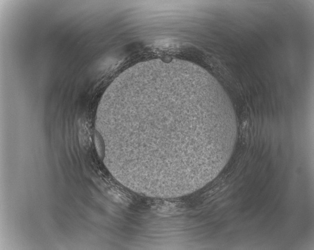 X0000060550772200511171538