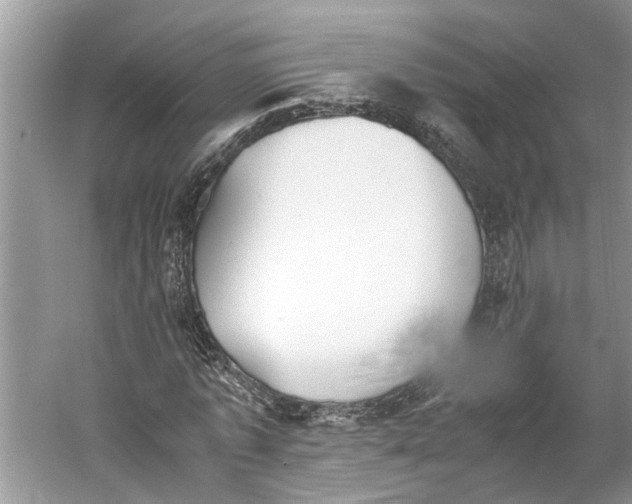 X0000060550773200511171538