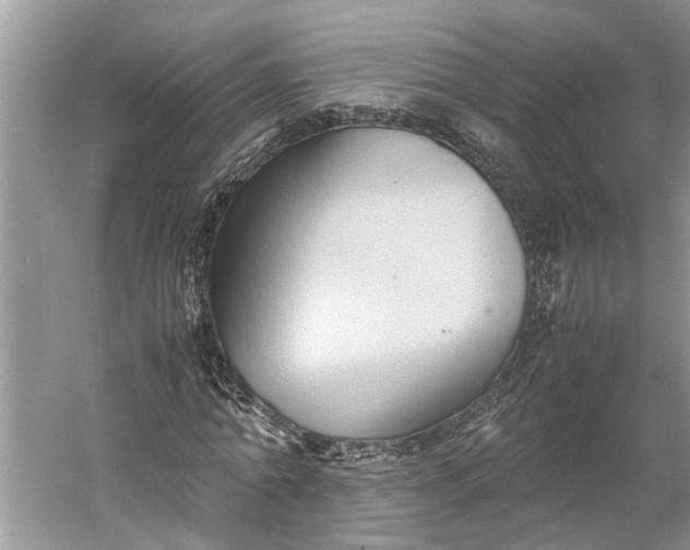 X0000060550774200511171538