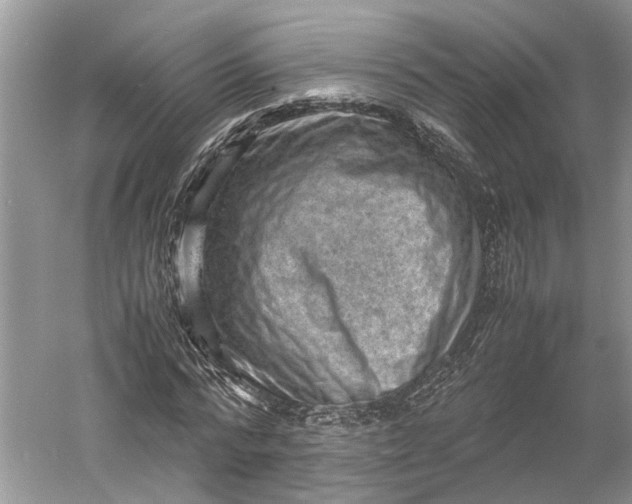 X0000060550776200511171538