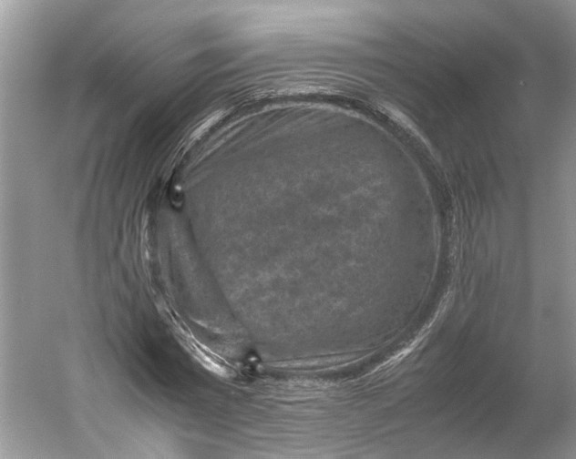 X0000060550777200511171538