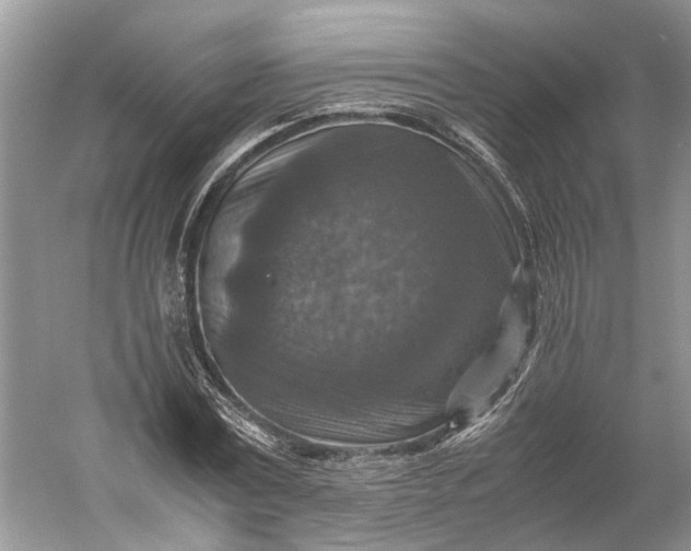 X0000060550779200511171538