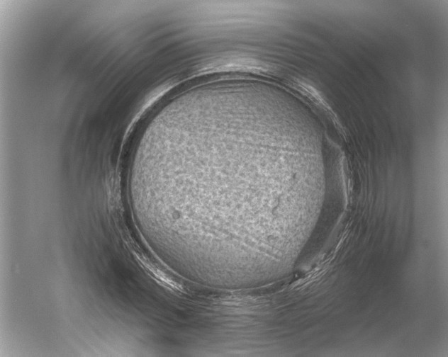 X0000060550780200511171538