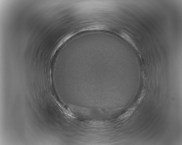 X0000060550781200511171538