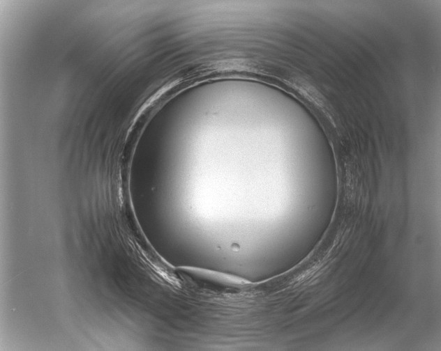 X0000060550782200511171537