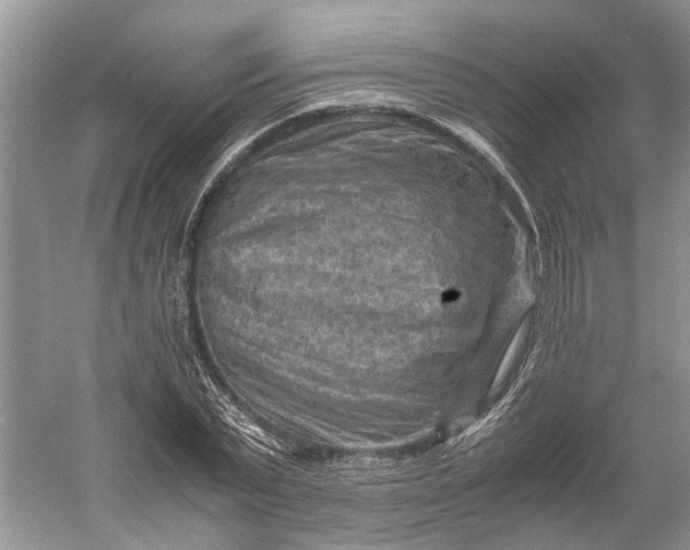 X0000060550783200511171537