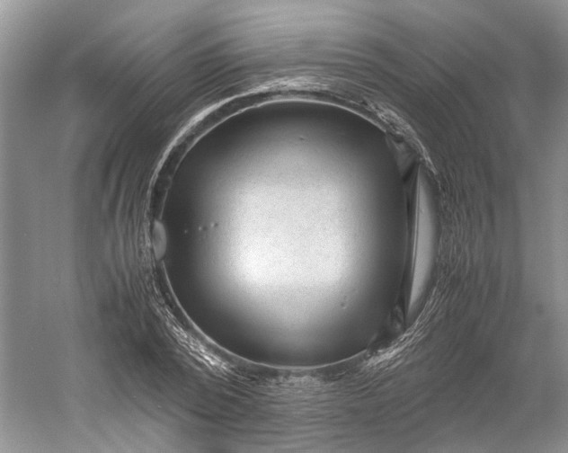 X0000060550784200511171537