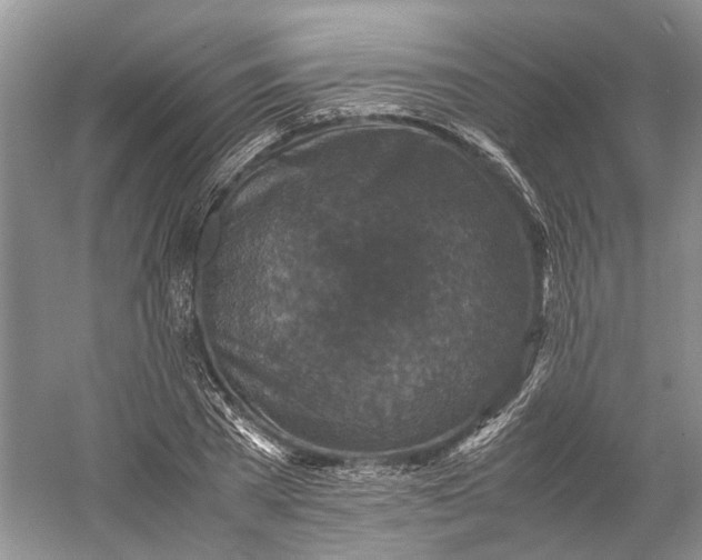 X0000060550785200511171537