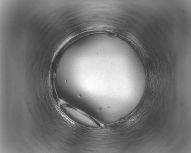 X0000060550788200511171537