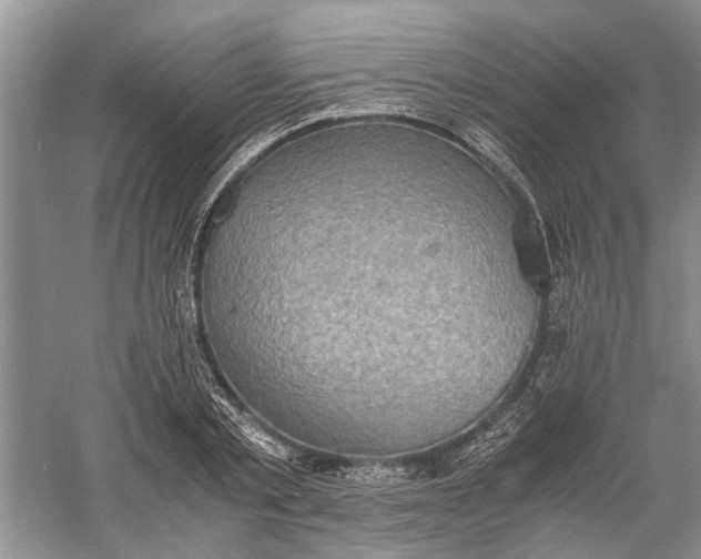 X0000060550789200511171537