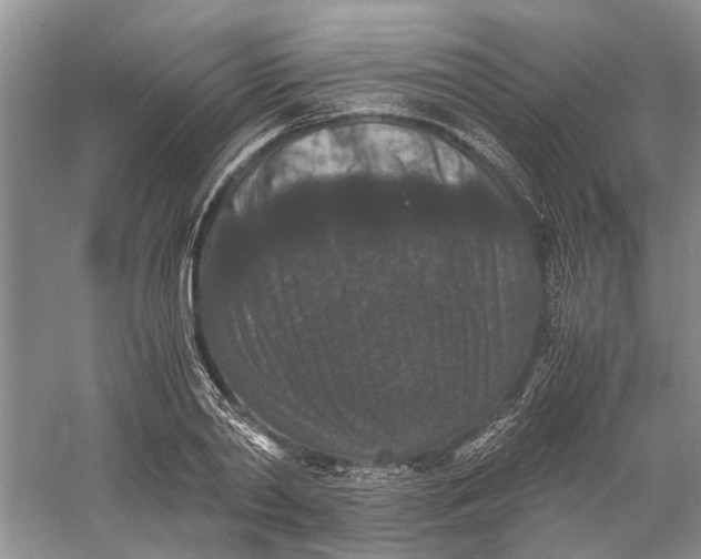 X0000060550790200511171537