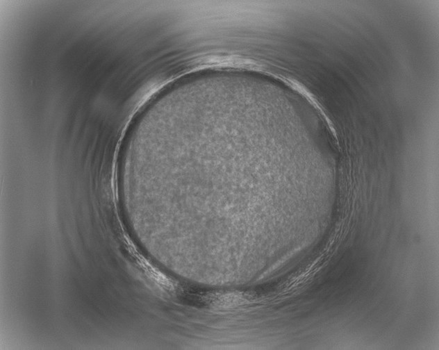 X0000060550791200511171537