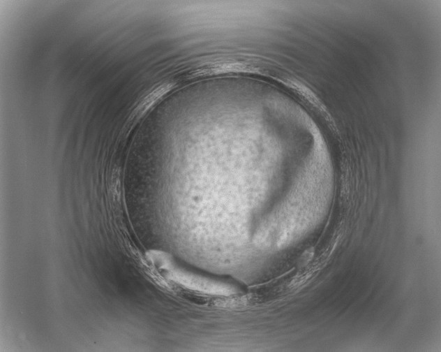 X0000060550793200511171537