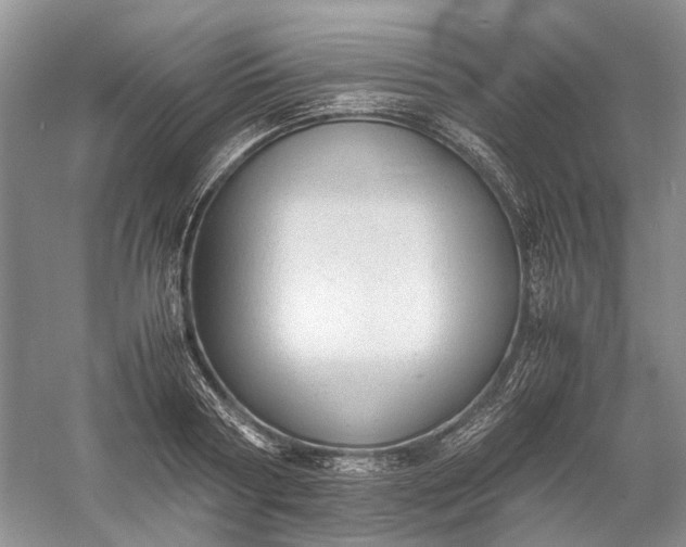 X0000060550794200511171537