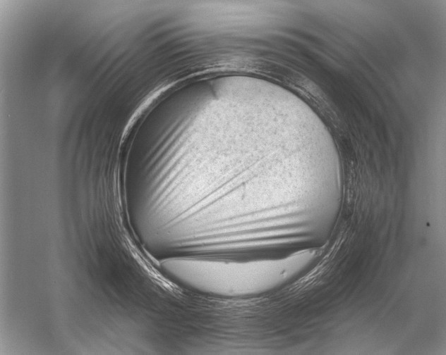 X0000060550796200511171537