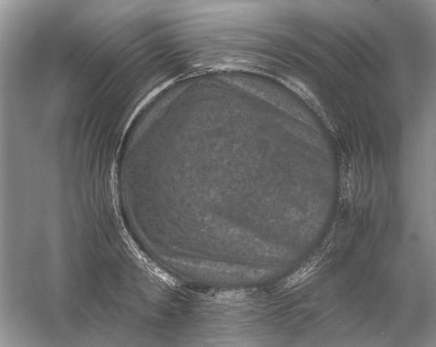 X0000060550798200511171537