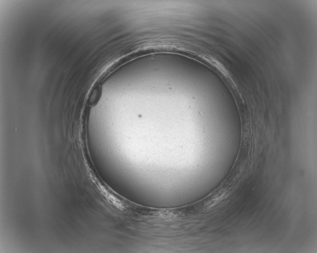 X0000060550799200511171537