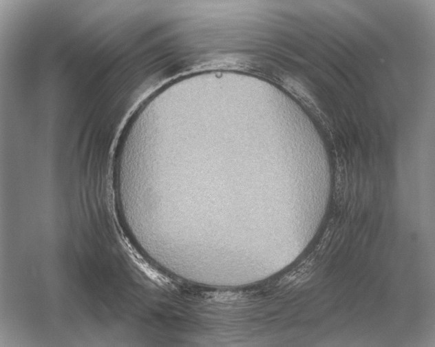 X0000060550800200511171537