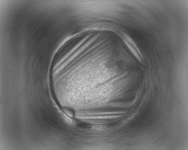 X0000060550803200511171537