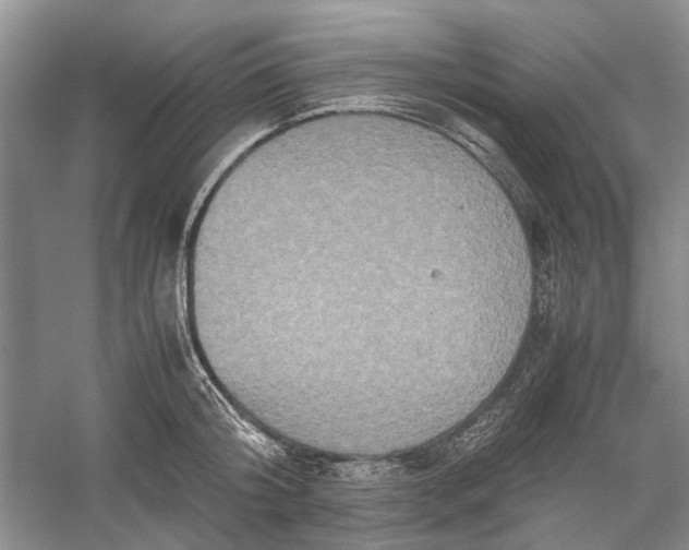 X0000060550804200511171537