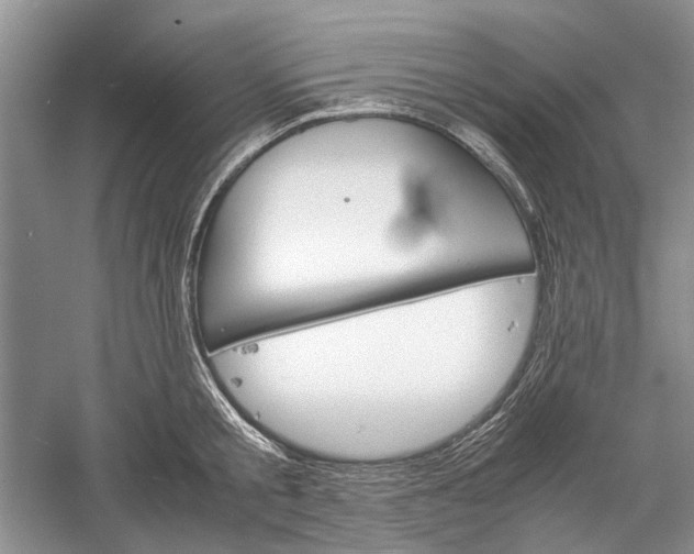 X0000060550805200511171537