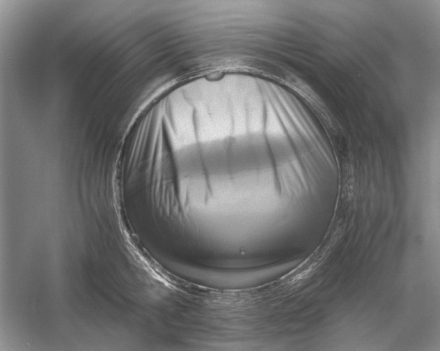 X0000060550806200511171537