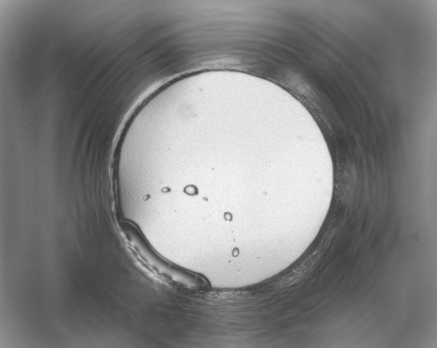 X0000060550808200511171537