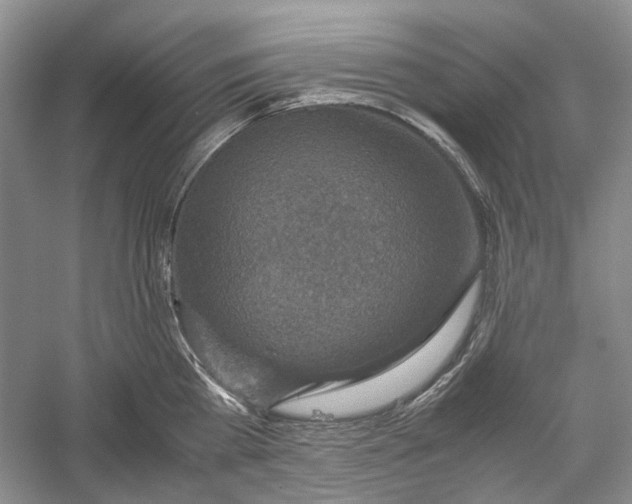 X0000060550809200511171537