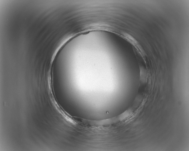 X0000060550812200511171537