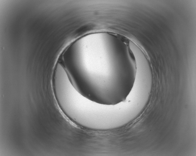 X0000060550813200511171537