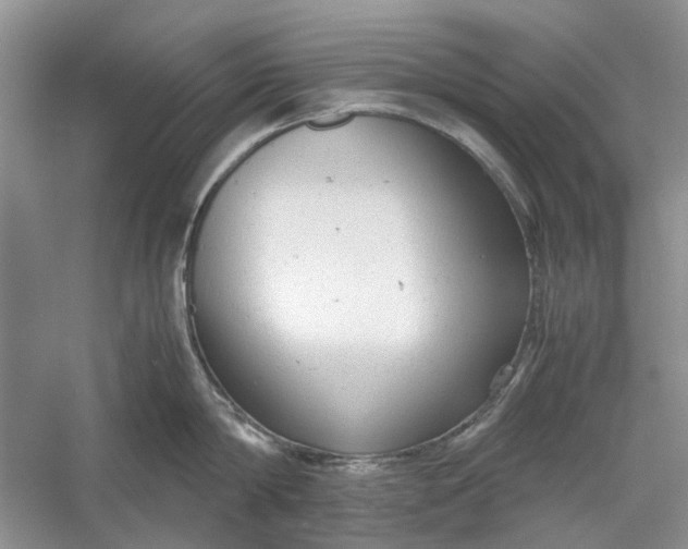 X0000060550814200511171537