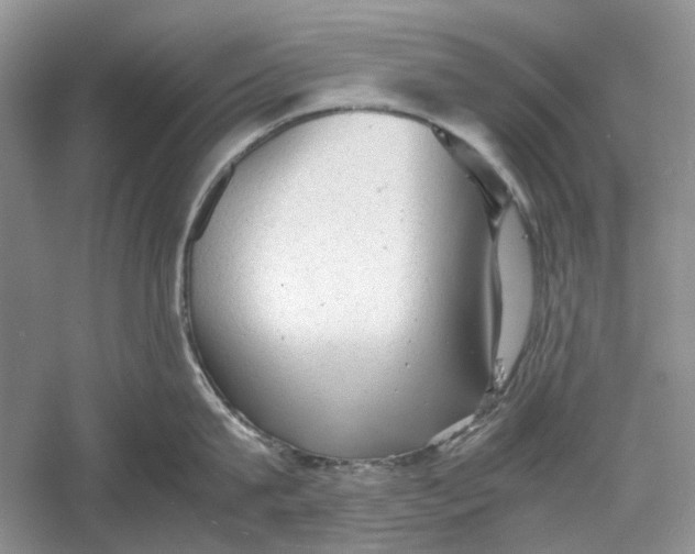 X0000060550815200511171537